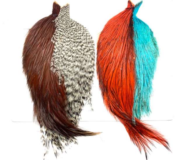 Whiting Combo Hackle Pack